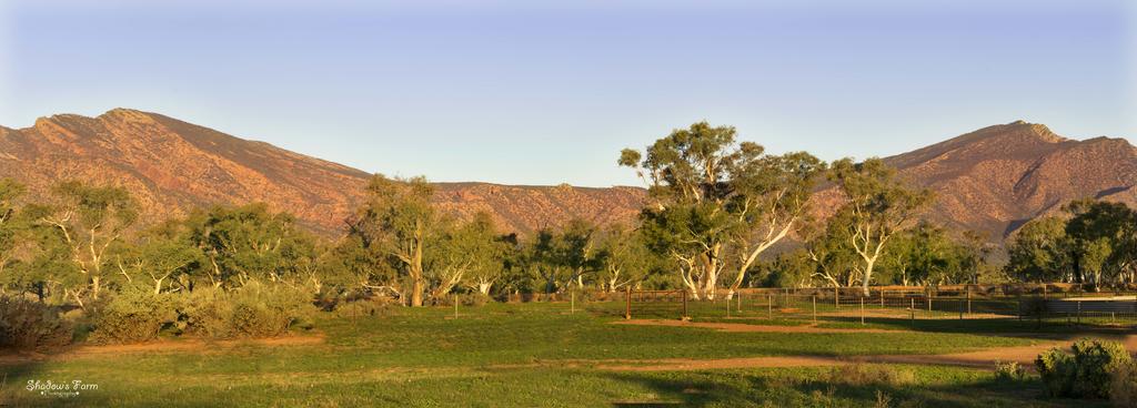 Flinders Ranges SA Accommodation Port Macquarie