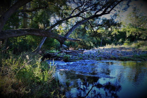 Eighteen Mile Cottage - Accommodation Port Macquarie 1