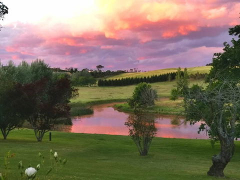 Eling Forest Winery - Accommodation Port Macquarie 0