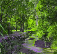 Esk Caravan Park  Rail Trail Motel - Accommodation Port Macquarie