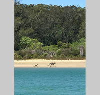 FAIRVIEW COTTAGE 25B - Waterfront accommodation - Accommodation Port Macquarie