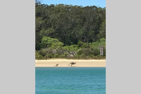 FAIRVIEW COTTAGE 25B - Waterfront Accommodation - Accommodation Port Macquarie 0