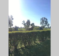 Farm House at the Gateway to the King Valley - Accommodation Port Macquarie