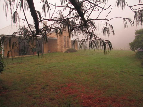 Ferndale B&B - Accommodation Port Macquarie 1