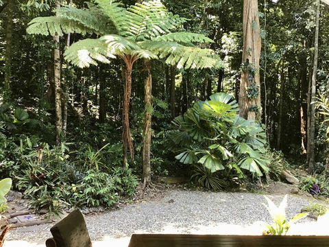 Forest Views Daintree - Accommodation Port Macquarie 0