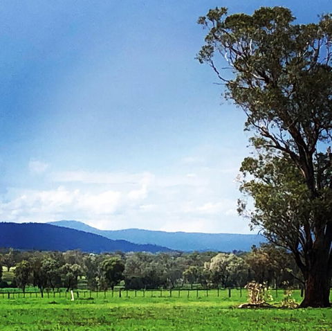 Fourjay Farmstay - Accommodation Port Macquarie 0