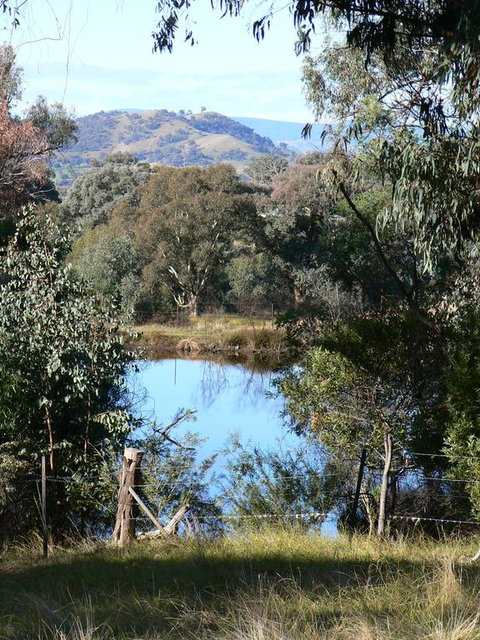 Gaddleen Grove Cottages - Accommodation Port Macquarie 3