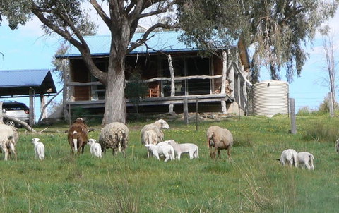 Gaddleen Grove Cottages - Accommodation Port Macquarie 0