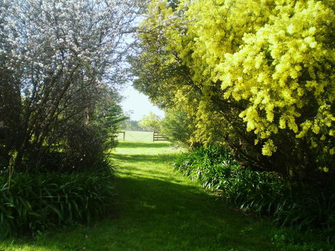 Galwiji Homestead - Accommodation Port Macquarie 3