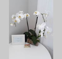 Gawler Heritage Accommodation - Accommodation Port Macquarie