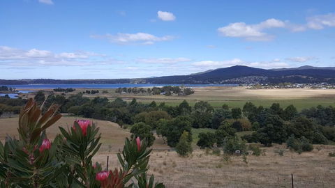 George River Park (House, 100 Acres, Animals, Views) - Accommodation Port Macquarie 2