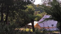 Book Zeehan Accommodation Vacations Accommodation Port Macquarie Accommodation Port Macquarie