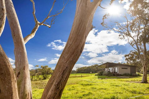 Glenworth Valley Outdoor Adventures - Accommodation Port Macquarie 1