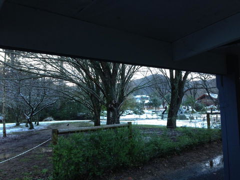 Goldberryaccommodation - Accommodation Port Macquarie 3