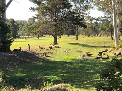 Golf View Motel - Accommodation Port Macquarie 1