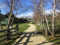 Green Gables BB