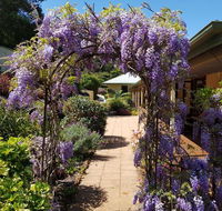 Gumtree House Montville - Accommodation Port Macquarie