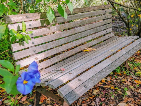 Hakea Bush Cabin - Accommodation Port Macquarie 3