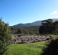Hawksview at Mafeking - Accommodation Port Macquarie