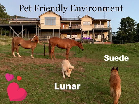 Heavenly Retreat B&B - Accommodation Port Macquarie 1