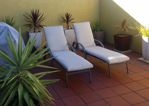 High On Penguin - Accommodation Port Macquarie 1