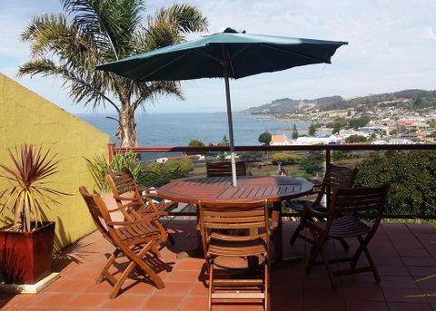 High On Penguin - Accommodation Port Macquarie 0