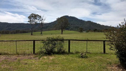 Hollyhill Cottage - Accommodation Port Macquarie 0
