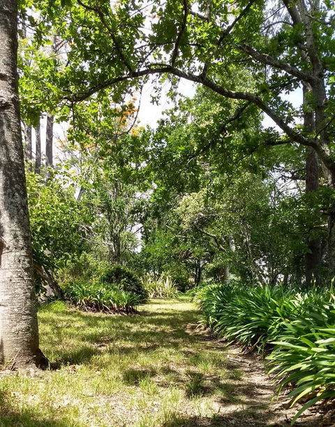 Hollyhill Cottage - Accommodation Port Macquarie 3