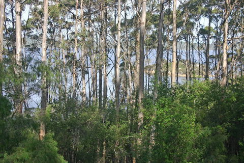 Honeymoon View - Accommodation Port Macquarie 2