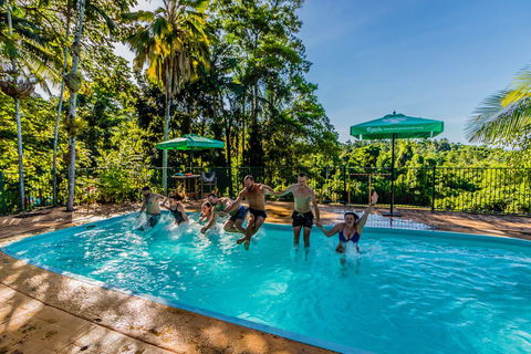Jackaroo Treehouse Mission Beach - Accommodation Port Macquarie 1