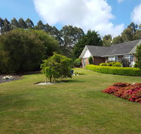 Jarrah - Accommodation Port Macquarie