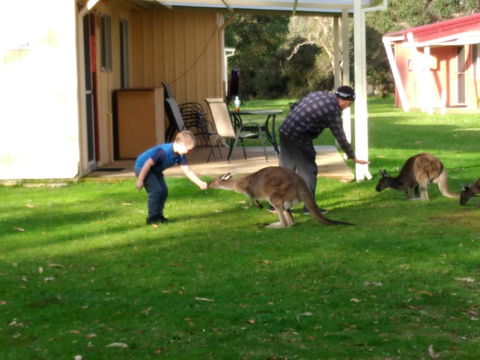 Kalgan River Chalets And Caravan Park - Accommodation Port Macquarie 0
