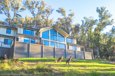 Kangaroo Lodge - Accommodation Port Macquarie 1