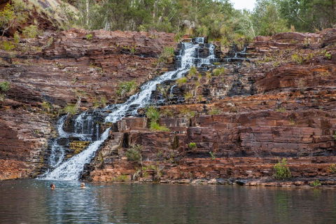 Karijini Eco Retreat - Accommodation Port Macquarie 2