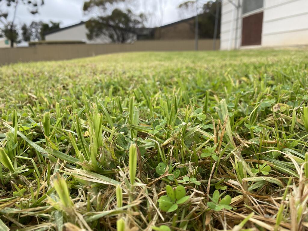 Karoonda SA Accommodation Port Macquarie