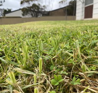 Karoonda Accommodation - Accommodation Port Macquarie