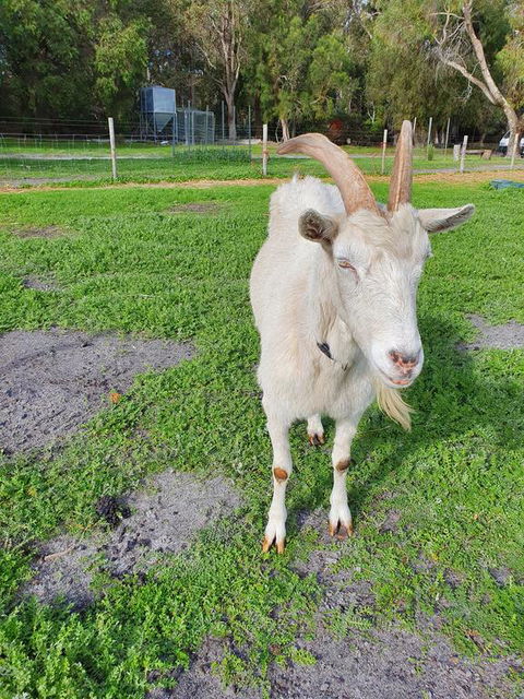 Kerriley Park FarmStay - Accommodation Port Macquarie 2