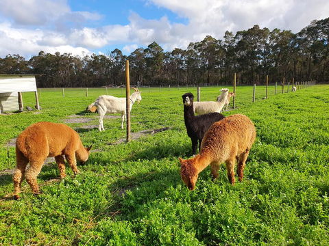Kerriley Park FarmStay - Accommodation Port Macquarie 3