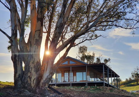 Kestrel Nest EcoHut - Accommodation Port Macquarie 0