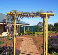 Lavendale Farmstay and Cottages York - Accommodation Port Macquarie