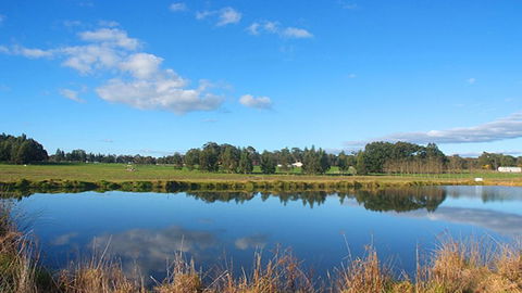 Le Reve 3 - Accommodation Port Macquarie 1