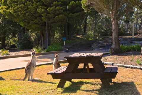 Leura Lodge At Mt Victoria - Accommodation Port Macquarie 2
