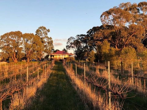 Lillicur Vineyard B&B - Accommodation Port Macquarie 0