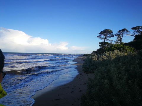 Lily Family - Accommodation Port Macquarie 2