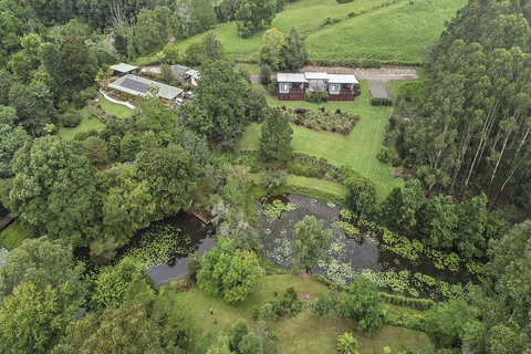 Lilypad Luxury Cabins - Accommodation Port Macquarie 3
