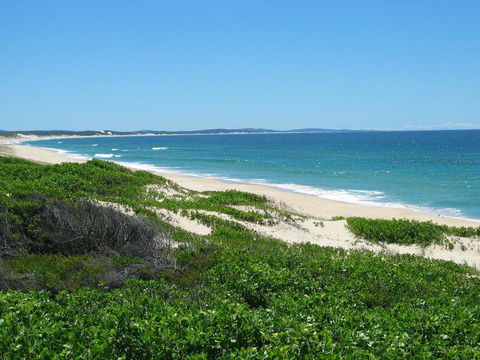 LingaLonga - Accommodation Port Macquarie 1