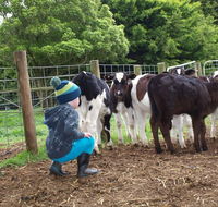 Manderley Park Farmstay BB - Accommodation Port Macquarie