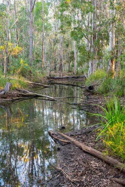Mango Lodge At River Heads - Accommodation Port Macquarie 3