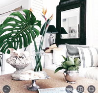 Manly Beach Retreat - Accommodation Port Macquarie
