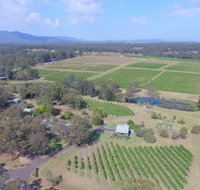 McCaffrey's Estate - Accommodation Port Macquarie